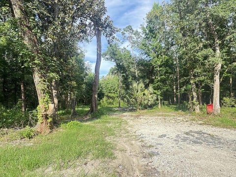 Photo of 246 McGlon Dr, Wewahitchka, FL 32465 (MLS # 328534)