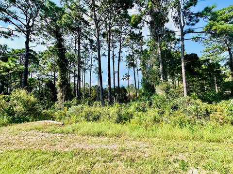 Photo of 253 Twin Lakes Rd, Eastpoint, FL 32328 (MLS # 329067)