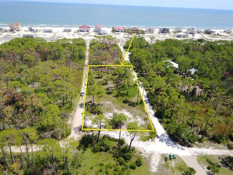 Photo of 1377 E Gulf Beach Dr, Saint George Island, FL 32328 (MLS # 321465)