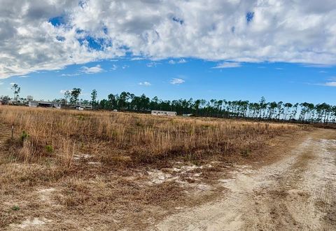 Photo of Lot 6 Margies Ln, Wewahitchka, FL 32465 (MLS # 325226)