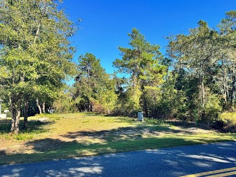 Photo of 119 Georgia St, Carrabelle, FL 32322 (MLS # 324477)