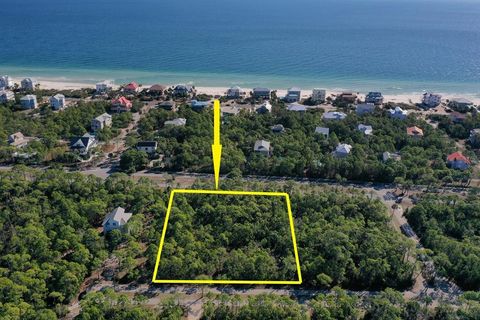Photo of 2005 Turpentine Trl, Saint George Island, FL 32328 (MLS # 326285)