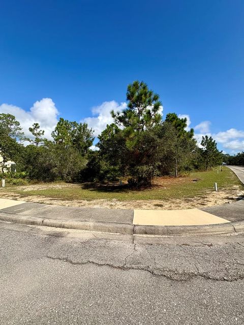 Photo of 137 Anhinga Ct, Carrabelle, FL 32322 (MLS # 324255)