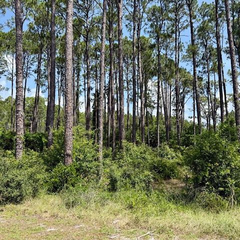 Photo of 3471 Firefly Cir, Carrabelle, FL 32358 (MLS # 315732)