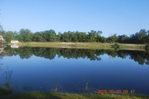 Photo of 168 Lakes on the Bluff Dr, Eastpoint, FL 32328 (MLS # 322005)
