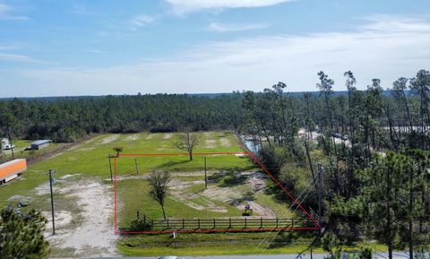 Photo of 8990 Cr 386 N, Wewahitchka, FL 32465 (MLS # 327773)