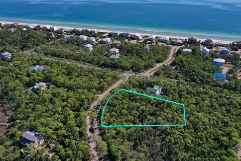Photo of 1935 Smugglers Cove Rd, Saint George Island, FL 32328 (MLS # 324582)