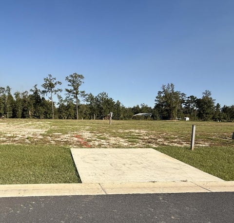 Photo of 128 Kiera Ct, Wewahitchka, FL 32465 (MLS # 329776)