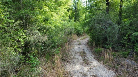 Photo of 147 Faison Rd, Wewahitchka, FL 32465 (MLS # 329797)