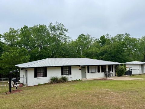 Photo of 117 Pope Ave, Wewahitchka, FL 32465 (MLS # 328293)