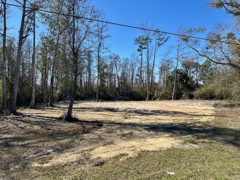 Photo of 1523 Hwy 22, Wewahitchka, FL 32465 (MLS # 324821)