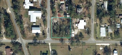 Photo of 7023 Bass St, Wewahitchka, FL 32465 (MLS # 320553)