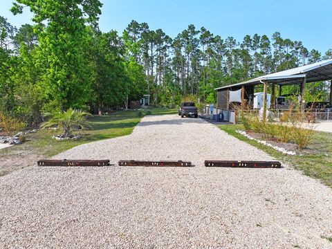 Photo of 385 Sealy Dr, Wewahitchka, FL 32465 (MLS # 328144)