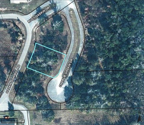 Photo of 36 Charlie Gaskin Dr, Wewahitchka, FL 32465 (MLS # 323864)