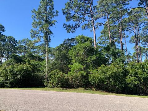 Photo of 245 Cross Creek Ct, Eastpoint, FL 32328 (MLS # 323840)
