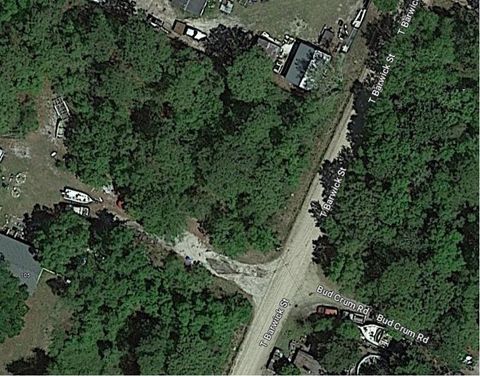 Photo of 000 Bud Crum Rd, Panacea, FL 32346 (MLS # 315546)