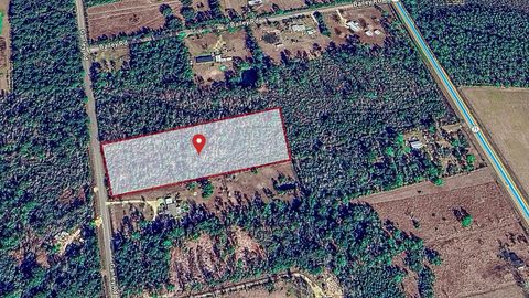 Photo of 6520 Ganley Rd, Wewahitchka, FL 32465 (MLS # 324015)
