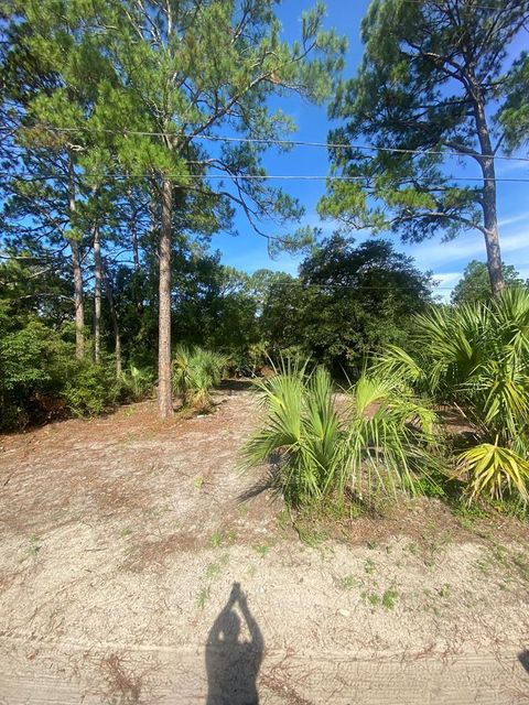 Photo of 74 Westview St, Panacea, FL 32346 (MLS # 322490)