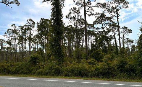 Photo of Lot 3 Sr 30-A, Port Saint Joe, FL 32456 (MLS # 321950)