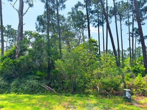 Photo of 308 Sea Haven Dr, Port Saint Joe, FL 32456 (MLS # 324914)
