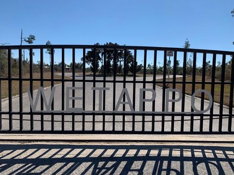 Photo of 103 Torrey Pine Trl, Wewahitchka, FL 32465 (MLS # 323880)
