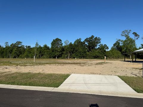 Photo of 193 Kiera Ct, Wewahitchka, FL 32465 (MLS # 328106)
