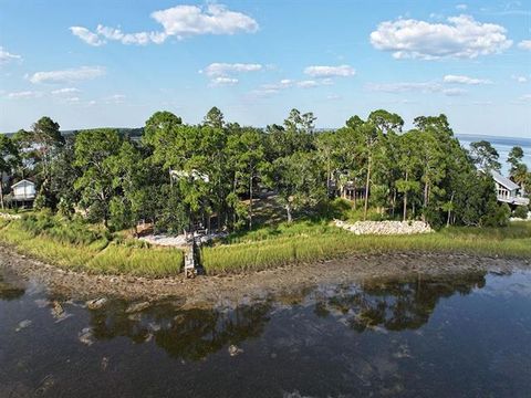 Photo of 1250 Live Oak Island Rd, Crawfordville, FL 32327 (MLS # 324617)