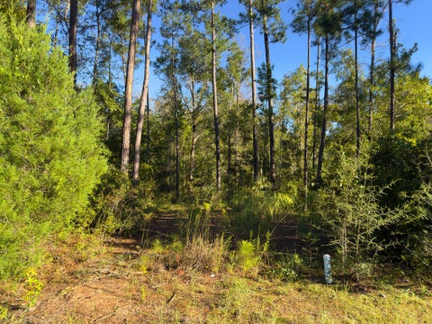 Photo of TBD Canning Dr, Wewahitchka, FL 32465 (MLS # 329781)