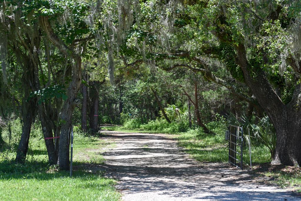 Eastpoint, Florida, 32328, United States, 4 Bedrooms Bedrooms, ,3 BathroomsBathrooms,Residential,Active,2013135