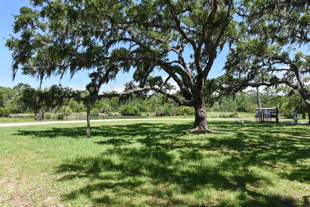 Eastpoint, Florida, 32328, United States, 4 Bedrooms Bedrooms, ,3 BathroomsBathrooms,Residential,Active,2013135