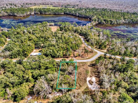 Photo of 121 Little River Cir, Wewahitchka, FL 32465 (MLS # 326253)