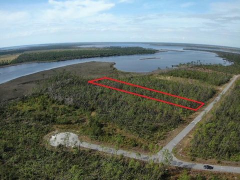 Photo of LOT 13 E Bay Dr, Wewahitchka, FL 32465 (MLS # 317941)