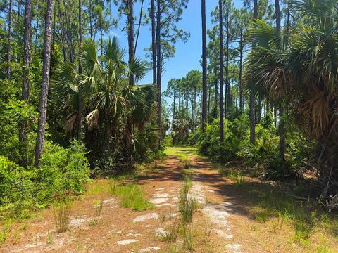 Photo of 10584 Cr 30-A, Port Saint Joe, FL 32456 (MLS # 322196)