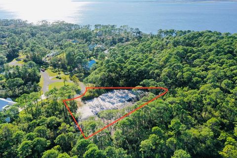Photo of 305 Sweet Bay Cir, Eastpoint, FL 32328 (MLS # 324038)