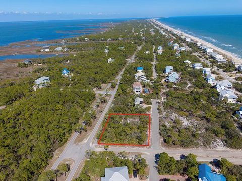 Photo of 2000 Pelican Way, Saint George Island, FL 32328 (MLS # 327646)