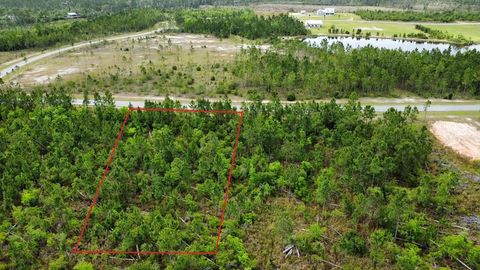 Photo of 103 Torrey Pine Trl, Wewahitchka, FL 32465 (MLS # 328314)
