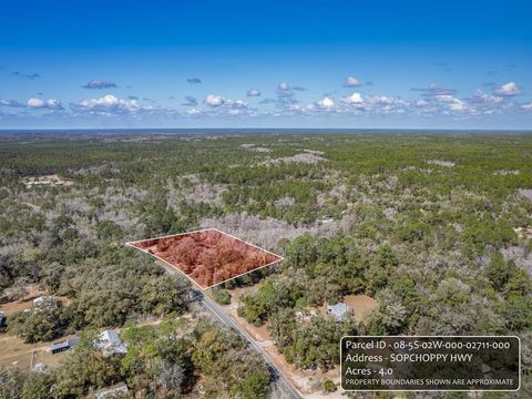 Photo of 0 Sopchoppy Hwy, Sopchoppy, FL 32358 (MLS # 326574)