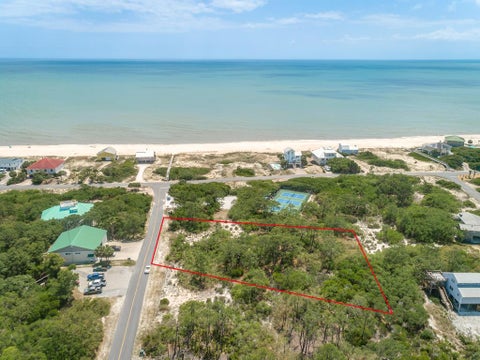 Photo of 1224 Sea Pines Pl, Saint George Island, FL 32328 (MLS # 329750)