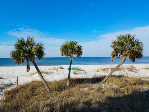 Photo of 8897 Hwy 98 W, Port Saint Joe, FL 32456 (MLS # 318573)