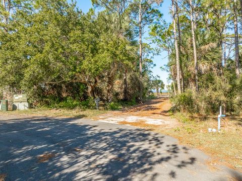 Photo of 1247 Avocet Ln, Saint George Island, FL 32328 (MLS # 324785)