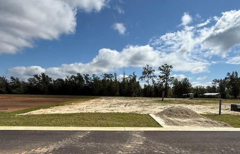 Photo of 134 Kiera Ct, Wewahitchka, FL 32465 (MLS # 328110)