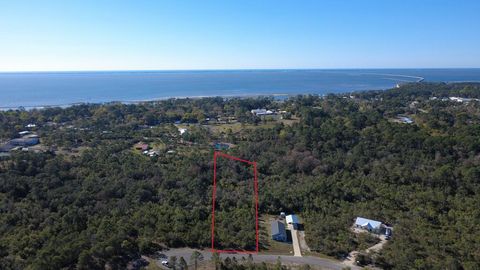 Photo of 339 Blue Heron Dr, Eastpoint, FL 32328 (MLS # 326558)