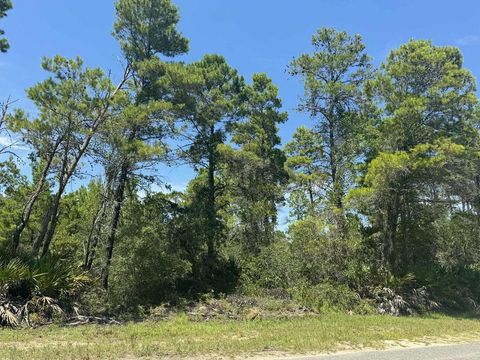Photo of 208 Woodill Rd, Carrabelle, FL 32322 (MLS # 323879)