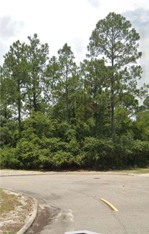 Photo of 162 Skimmer Dr, Carrabelle, FL 32323 (MLS # 322475)