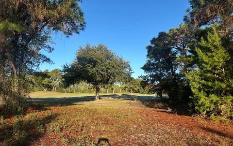 Photo of 273 Royal Tern Way, Carrabelle, FL 32322 (MLS # 324730)