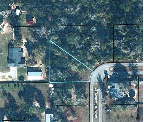 Photo of 25 Charlie Gaskin Dr, Wewahitchka, FL 32465 (MLS # 323862)