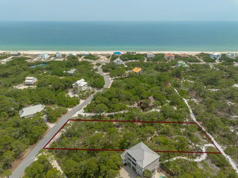 Photo of 1244 Sea Dune Dr, Saint George Island, FL 32328 (MLS # 328423)