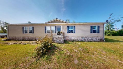 Photo of 257 Kemp Cemetery Rd, Wewahitchka, FL 32465 (MLS # 321976)