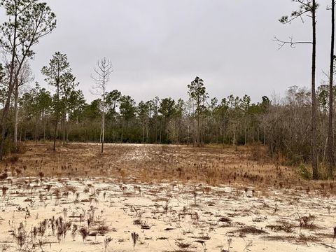 Photo of TBD E Creekview Dr, Wewahitchka, FL 32465 (MLS # 324837)