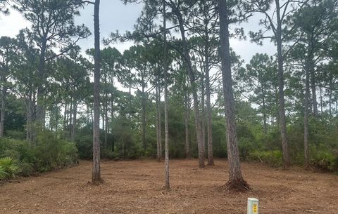 Photo of 208 Royal Tern Way, Carrabelle, FL 32322 (MLS # 318116)